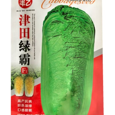 黄心白菜种子津田绿霸大白菜种子抗干烧心高产
