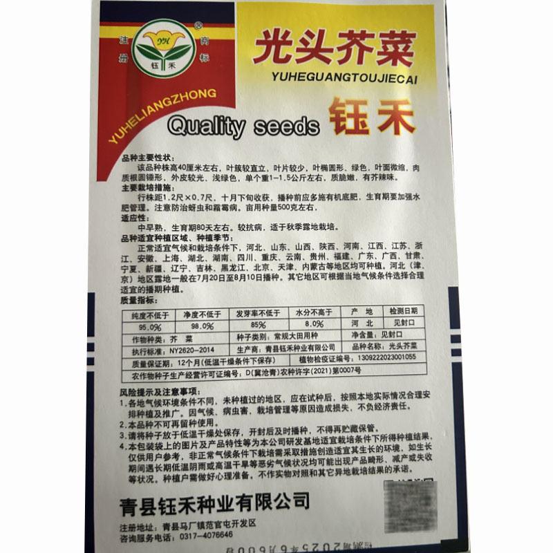 光头芥菜种子纤维少辣味浓二道眉疙瘩菜籽大田基地