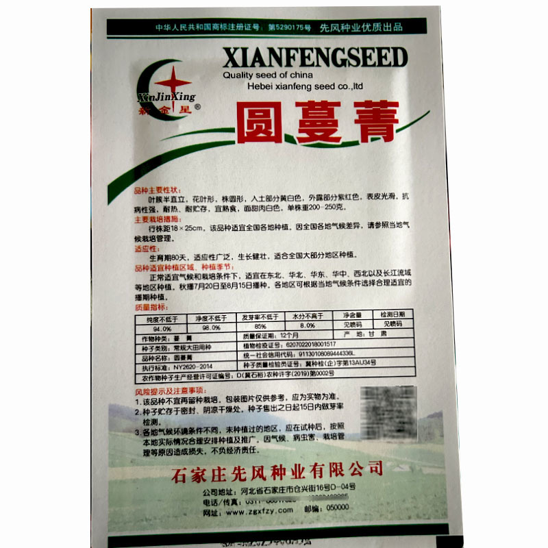 红圆蔓青种子圆根盘菜芜菁籽大头菜芥菜大田基地