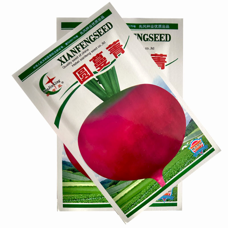 红圆蔓青种子圆根盘菜芜菁籽大头菜芥菜大田基地
