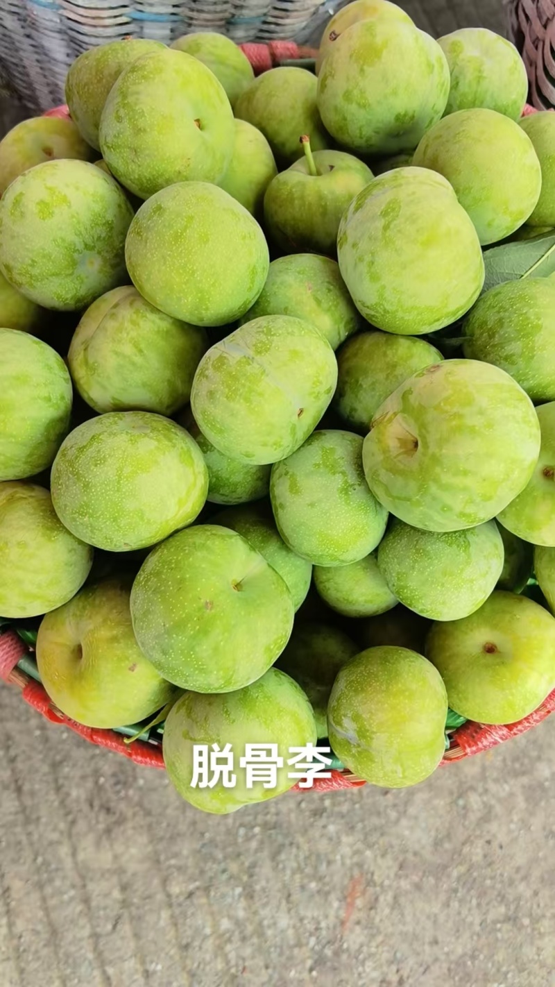 汉源县脱骨李大量有货产地一手货源新鲜采摘