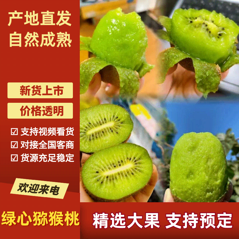 绿心猕猴桃一件代发电商团购整车代发大量供应