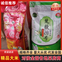 精品大米云南楚雄粳米中上等货产地直发一手货源可视频看货