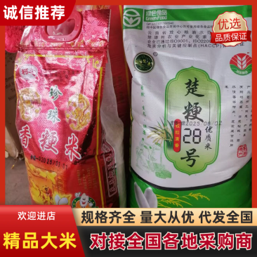 精品大米云南楚雄粳米中上等货产地直发一手货源可视频看货