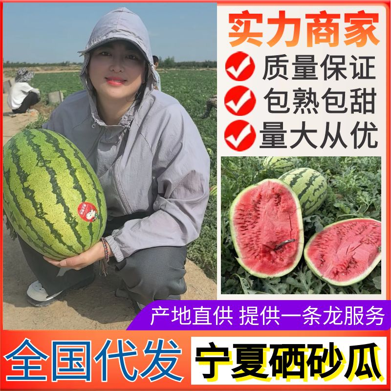 宁夏西瓜&金花系列/金花一号金花6号/双红瓤包熟包甜