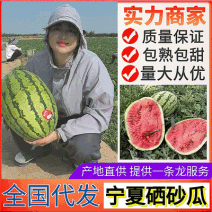 宁夏硒砂瓜/石缝瓜沙土西瓜石头瓜产区已大量上市中