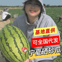 《金花6号石头瓜》宁夏西瓜/包熟包甜/产地直供/全国代发