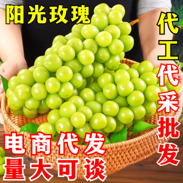 青提一件代发晴王阳光玫瑰绿葡萄当季新鲜水果
