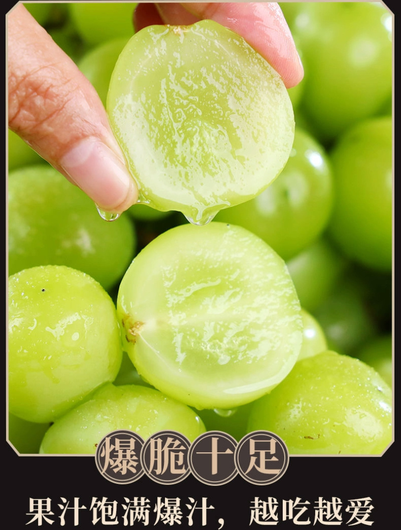 青提一件代发晴王阳光玫瑰绿葡萄当季新鲜水果