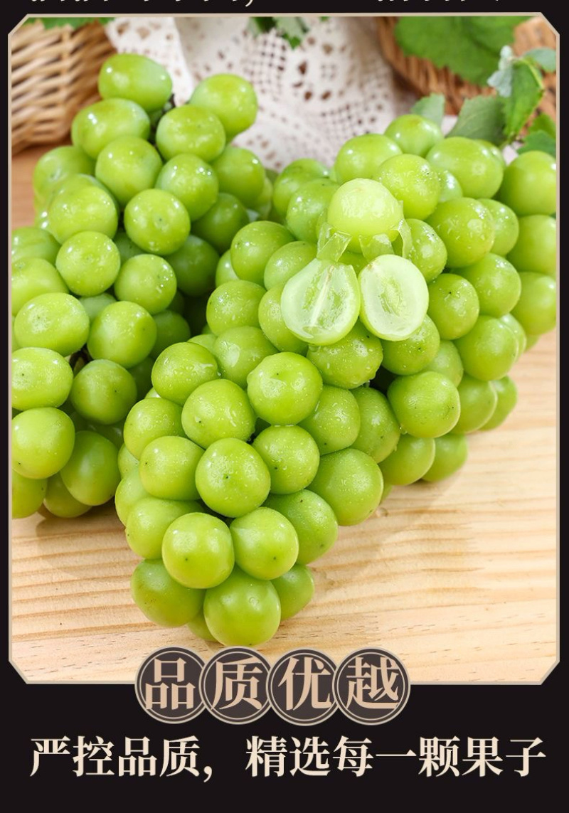 青提一件代发晴王阳光玫瑰绿葡萄当季新鲜水果