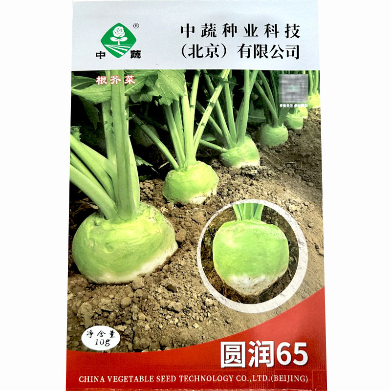 圆润65二道眉根芥菜头种子拉疙瘩辣老咸菜秋季蔬菜光头芥