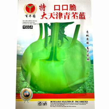 口口脆大天津青丕兰种子质地青脆高产抗病水果绿苤兰籽芥兰头