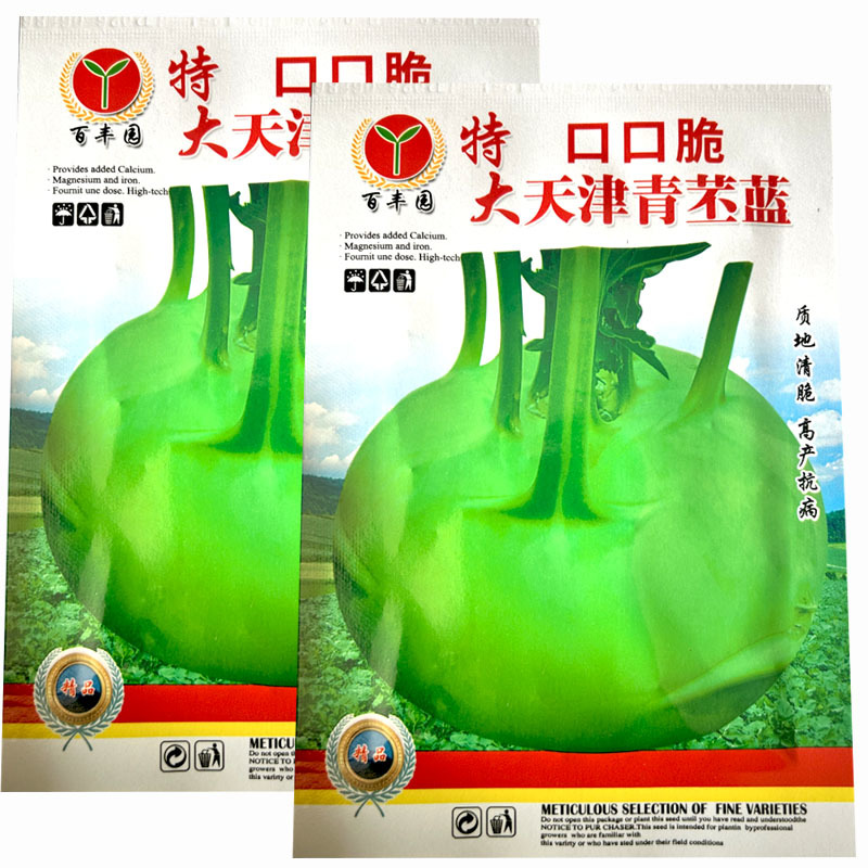 口口脆大天津青丕兰种子质地青脆高产抗病水果绿苤兰籽芥兰头