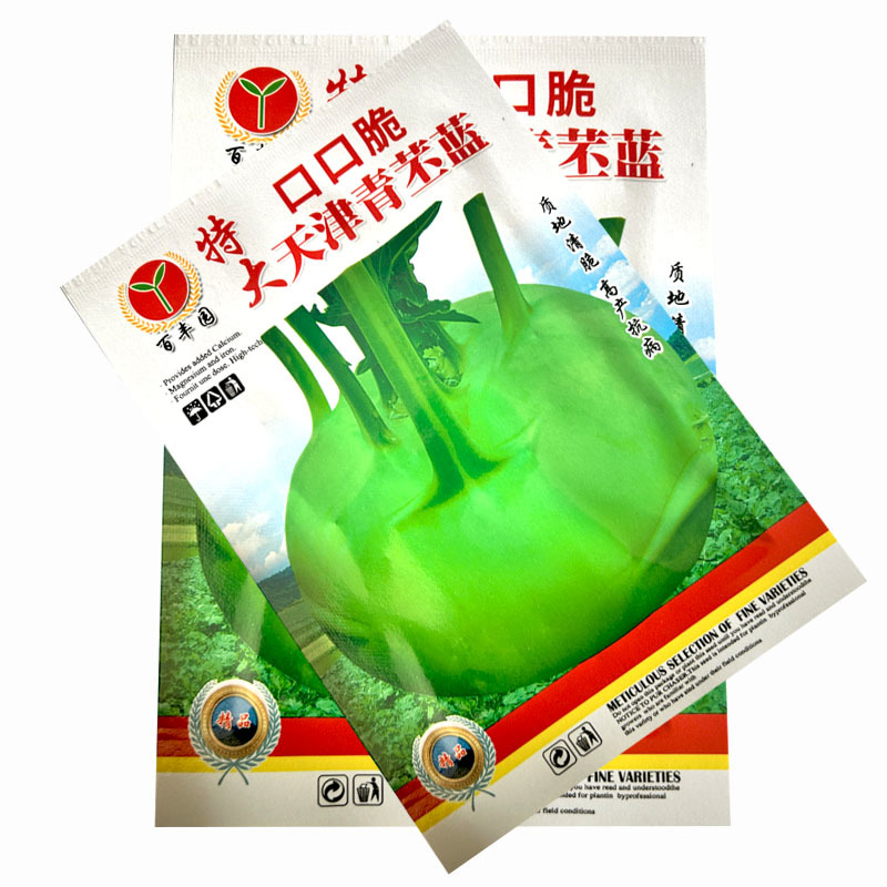 口口脆大天津青丕兰种子质地青脆高产抗病水果绿苤兰籽芥兰头