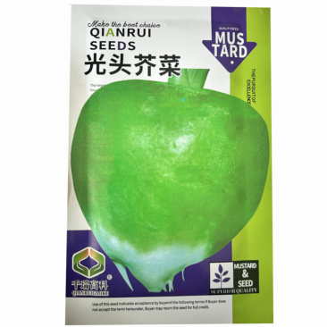 光头芥菜种子疙瘩菜种子大头菜榨菜二道眉菜农用