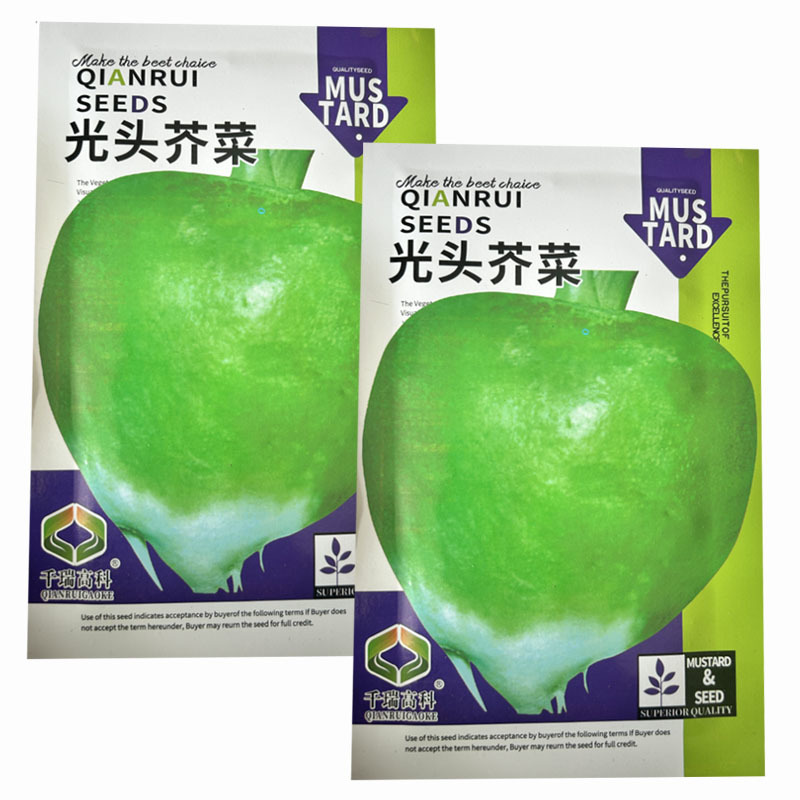 光头芥菜种子疙瘩菜种子大头菜榨菜二道眉菜农用