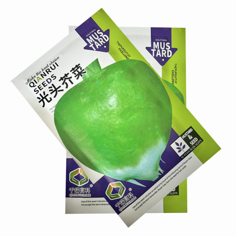 光头芥菜种子疙瘩菜种子大头菜榨菜二道眉菜农用
