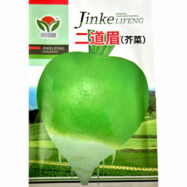 二道眉芥菜种子辣疙瘩菜叶片绿色光头芥蔬菜种子