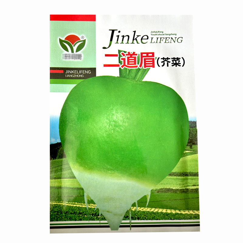 二道眉芥菜种子辣疙瘩菜叶片绿色光头芥蔬菜种子