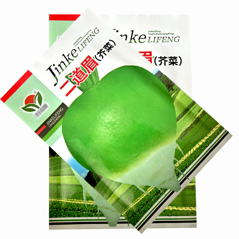 二道眉芥菜种子辣疙瘩菜叶片绿色光头芥蔬菜种子