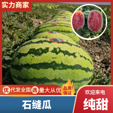 宁夏硒砂瓜中卫石缝瓜石头瓜包熟包甜放心购买欢迎咨询