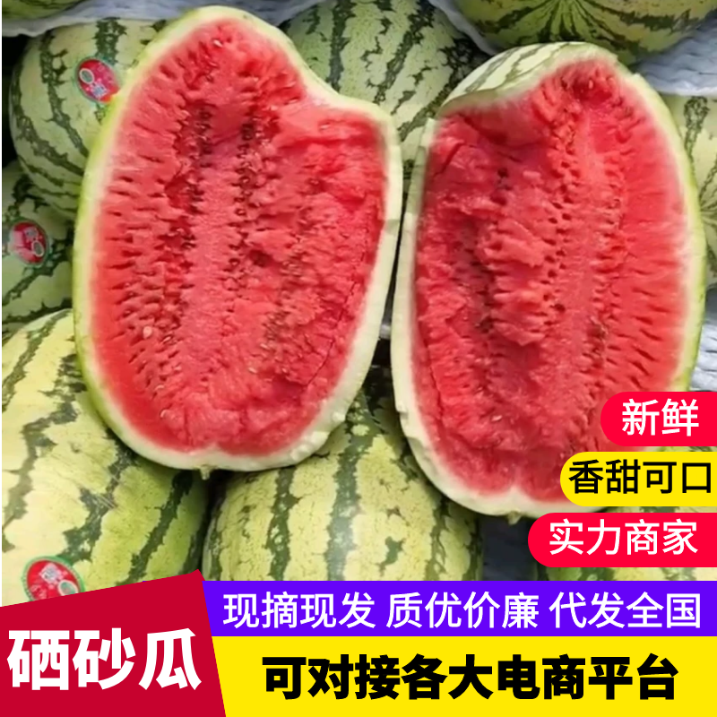中卫硒砂瓜宁夏石缝瓜甜度高汁水多实力供货代发全国