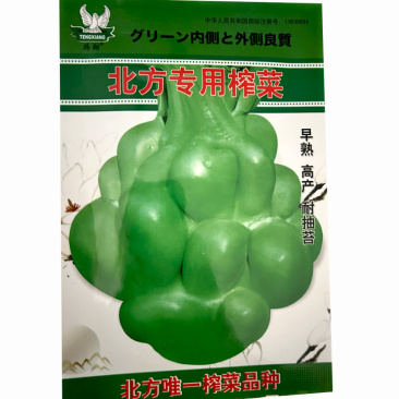 北方榨菜种子疙瘩菜光头菜青菜种子秋冬季耐寒蔬菜种子芥菜