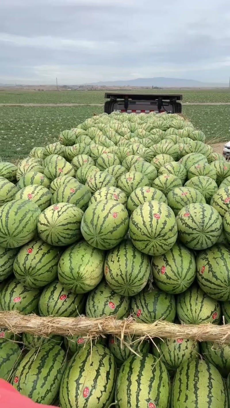 宁夏硒砂瓜石头瓜清甜可口对接全国量大从优欢迎采购热卖中