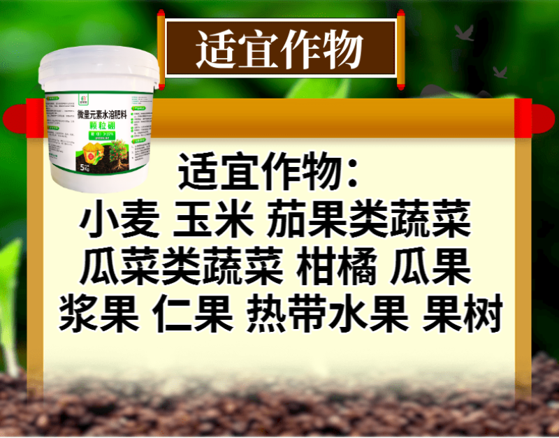 颗粒硼缓释长效硼肥提高开花坐果一季一次送大袋生根粉