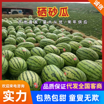 硒砂瓜中卫石缝瓜石头瓜基地直发包熟包甜放心购买
