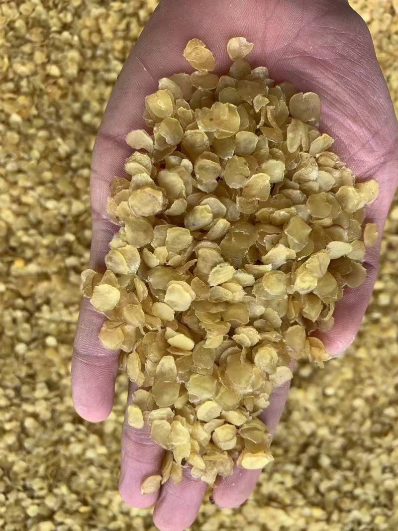 【产地供货】专业供应皂角米规格齐全诚寻长期合作伙伴