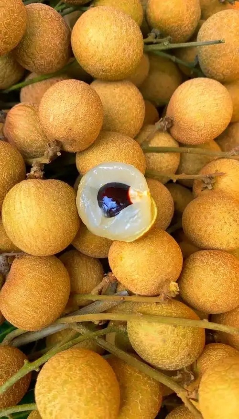 龙眼