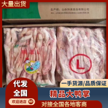 冷冻生鸭掌大号鸭爪鸭脚24斤1kg*12袋卤味饭店食用