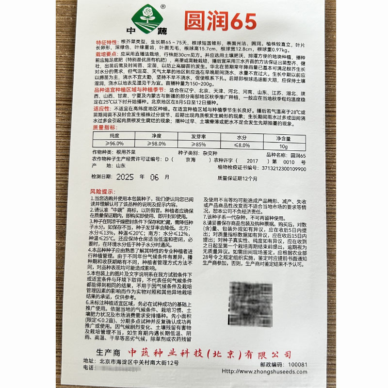 圆润65二道眉根芥菜头种子拉疙瘩辣老咸菜秋季蔬菜光头芥