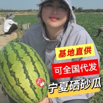 宁夏硒砂瓜&石缝瓜/香山西瓜基地直供/包熟包甜/大吨位供应