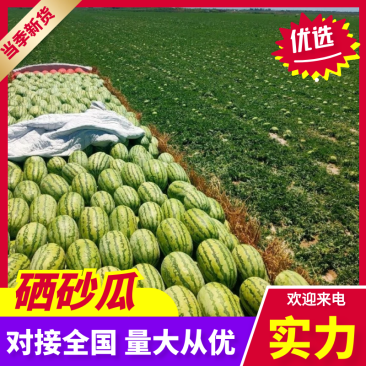 【优选】石头瓜宁夏硒砂瓜产地直发全国发货视频看货