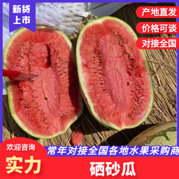 【热卖】宁夏西瓜硒砂瓜金城5号系列量大优惠对接全国