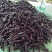 贵州茄子紫长茄基地一手货源对接电商市场商超