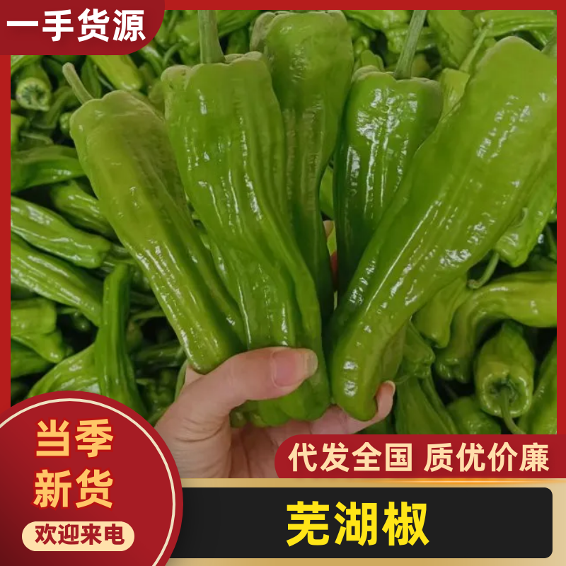 芜湖椒产地大量供应量大质优价格优惠一手货源欢迎咨询