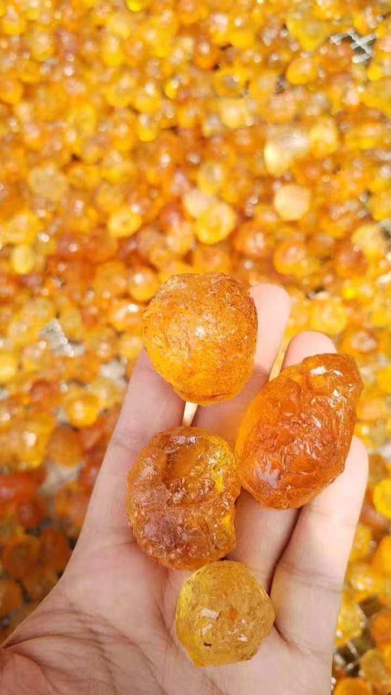 【稳定供应】精修优质桃胶颗粒饱满杂质少欢迎咨询合作