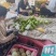 翠玉梨基地直销量大质优价格优惠一手货源欢迎咨询采购
