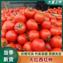 大红西红柿，宁夏西红柿，新鲜采摘，一手货源专业代收代办
