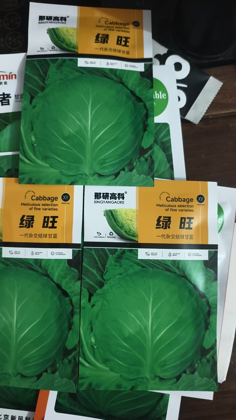 包菜种子