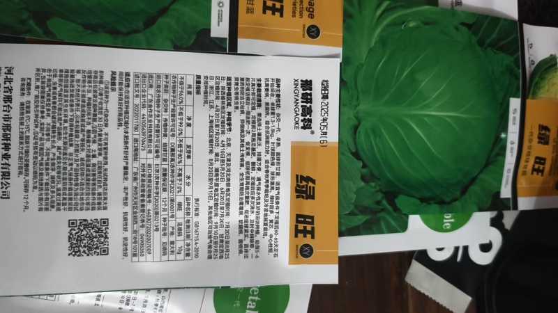 包菜种子