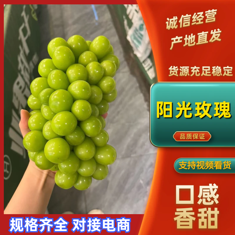 阳光玫瑰品质保证服务周到产地直发价格便宜