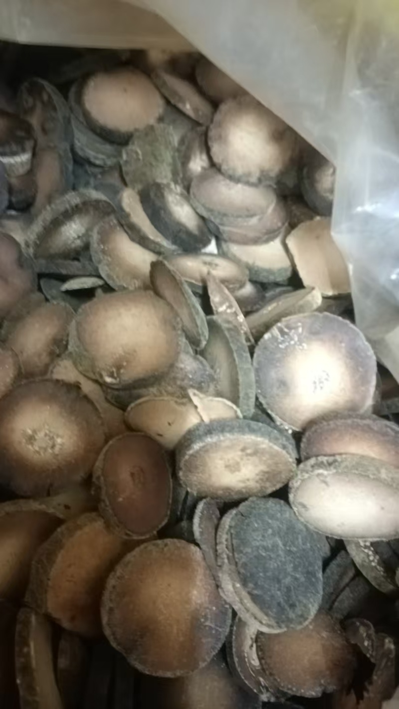 【实力推荐】广东橘红中药材产地直发可对接各大市场平台