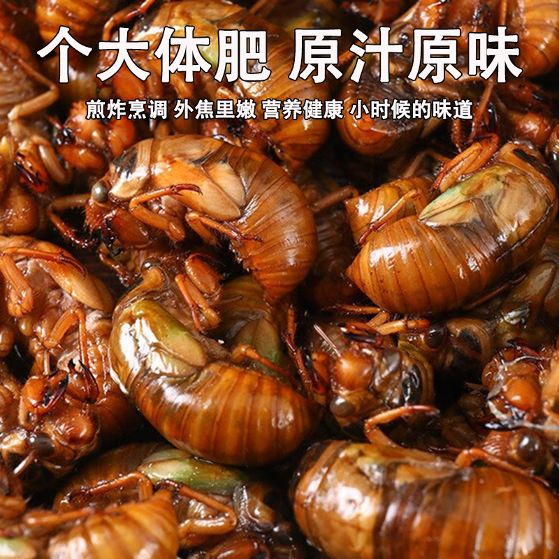 知了猴新鲜2025活体金蝉爬叉猴速冻知了龟特产