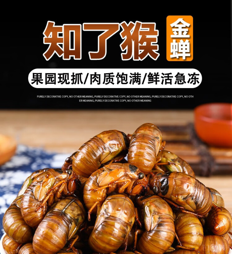 知了猴新鲜2025活体金蝉爬叉猴速冻知了龟特产