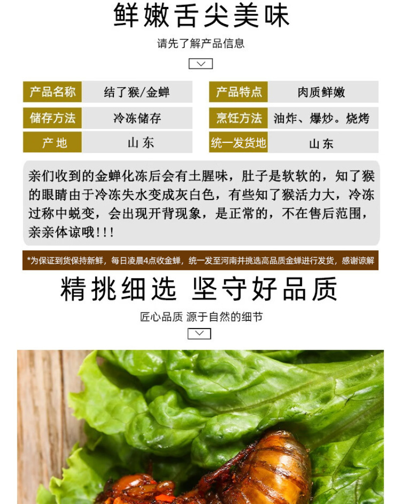 知了猴新鲜2025活体金蝉爬叉猴速冻知了龟特产
