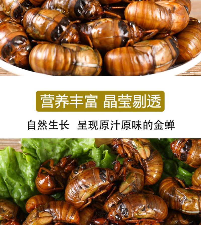 知了猴新鲜2025活体金蝉爬叉猴速冻知了龟特产